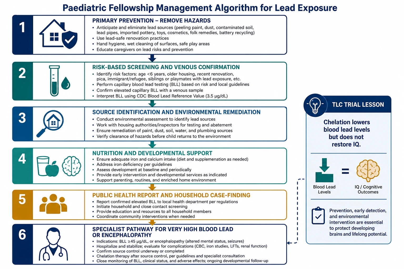 Stepwise management algorithm from primary prevention and screening through source removal, nutrition and development support to specialist chelation