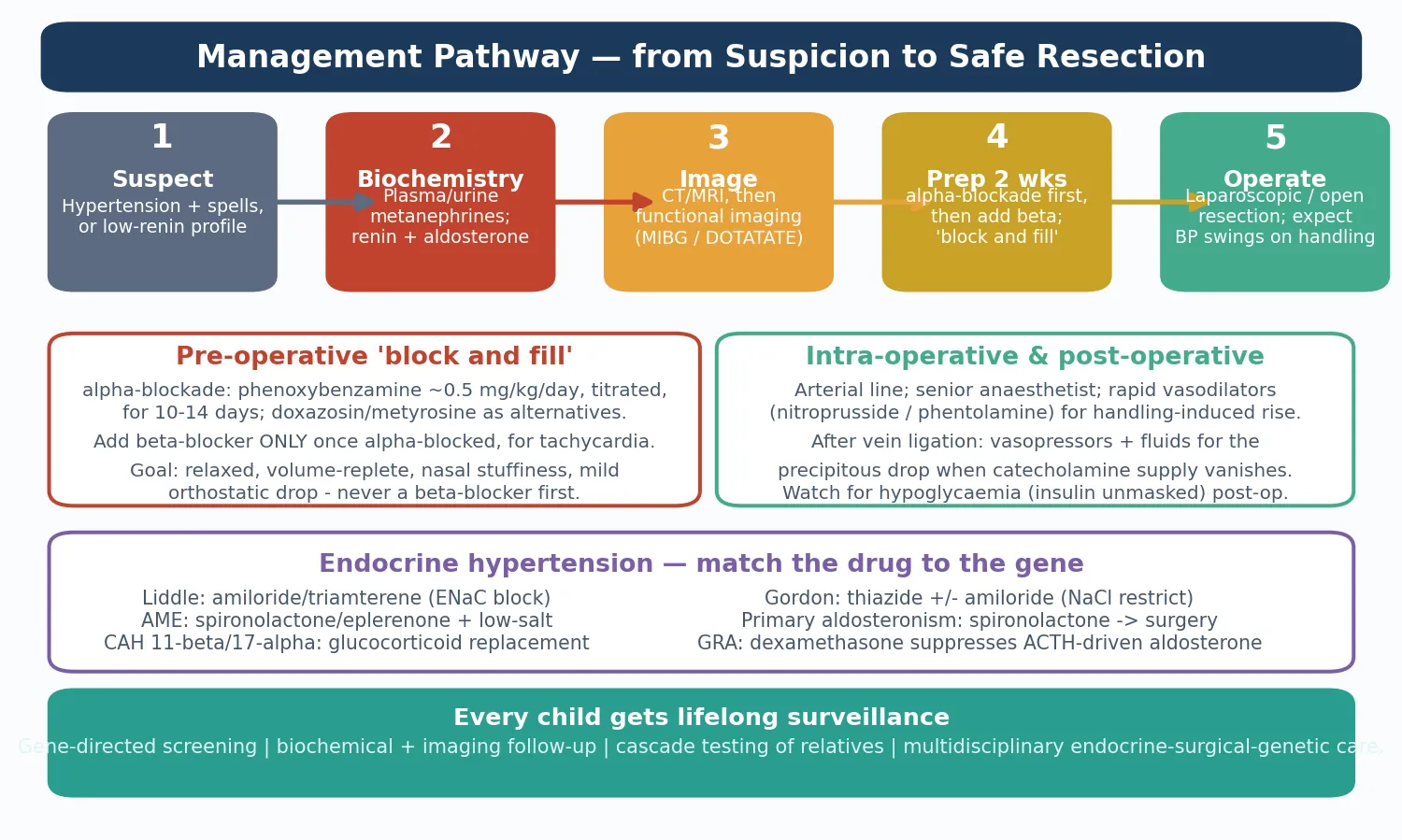 Management algorithm for paediatric familial hypercholesterolaemia showing the stepwise drug ladder — lifestyle, a statin from age 8 to 10, ezetimibe, a PCSK9 inhibitor, then apheresis and other agents for homozygous FH — with the LDL-C targets, cascade screening of relatives, and a monitoring and safety panel.