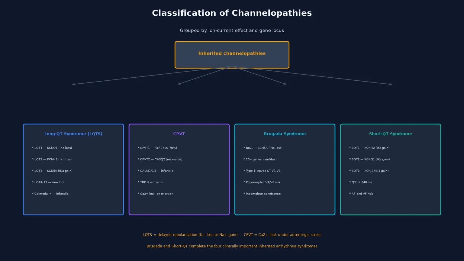Educational schematic classifying the inherited cardiac channelopathies into four families — long-QT syndrome (LQT1 KCNQ1, LQT2 KCNH2, LQT3 SCN5A), catecholaminergic polymorphic ventricular tachycardia (RYR2, CASQ2, calmodulin), Brugada syndrome (SCN5A loss of function), and short-QT syndrome (KCNH2, KCNQ1, KCNJ2 gain of function) — each with its gene, ion-current effect, and clinical hallmark