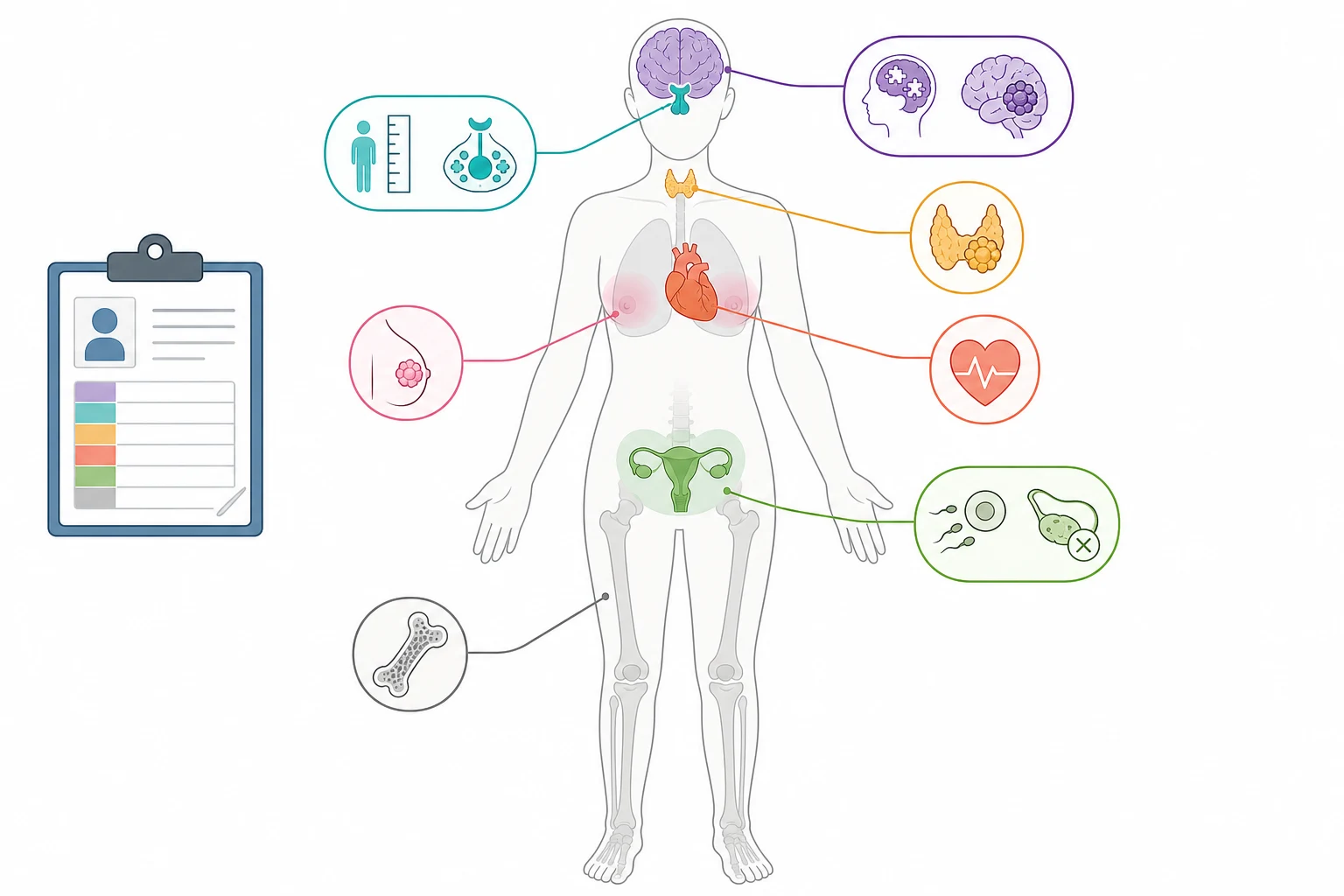 A clean medical-education schematic on a white background showing a standing human body silhouette in the centre with colour-coded zones marking the organ systems affected by the late effects of childhood cancer therapy. The brain region in purple marks the neurocognitive decline and the second central nervous system tumour. The hypothalamic-pituitary region in teal marks the growth hormone deficiency and the endocrine failure. The heart in coral marks the anthracycline cardiomyopathy. The thyroid in amber at the neck marks the radiation-associated thyroid cancer. The breast region in pink marks the radiation-associated breast cancer. The gonadal region in green marks the infertility and the premature ovarian failure. A small survivor figure stands to the left with a clipboard. No text appears in the figure.