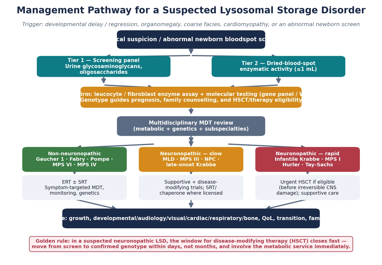 Management algorithm for a suspected lysosomal storage disorder, from clinical suspicion or abnormal newborn screen, through urine and dried-blood-spot screening, leucocyte enzyme assay and molecular confirmation, to a multidisciplinary decision and treatment branch by central nervous system involvement