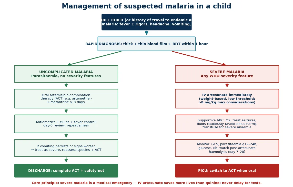 Stepwise management flowchart for suspected paediatric malaria from recognition through rapid diagnosis and the split into uncomplicated disease treated with artemisinin-combination therapy and severe disease treated with intravenous artesunate and supportive care.