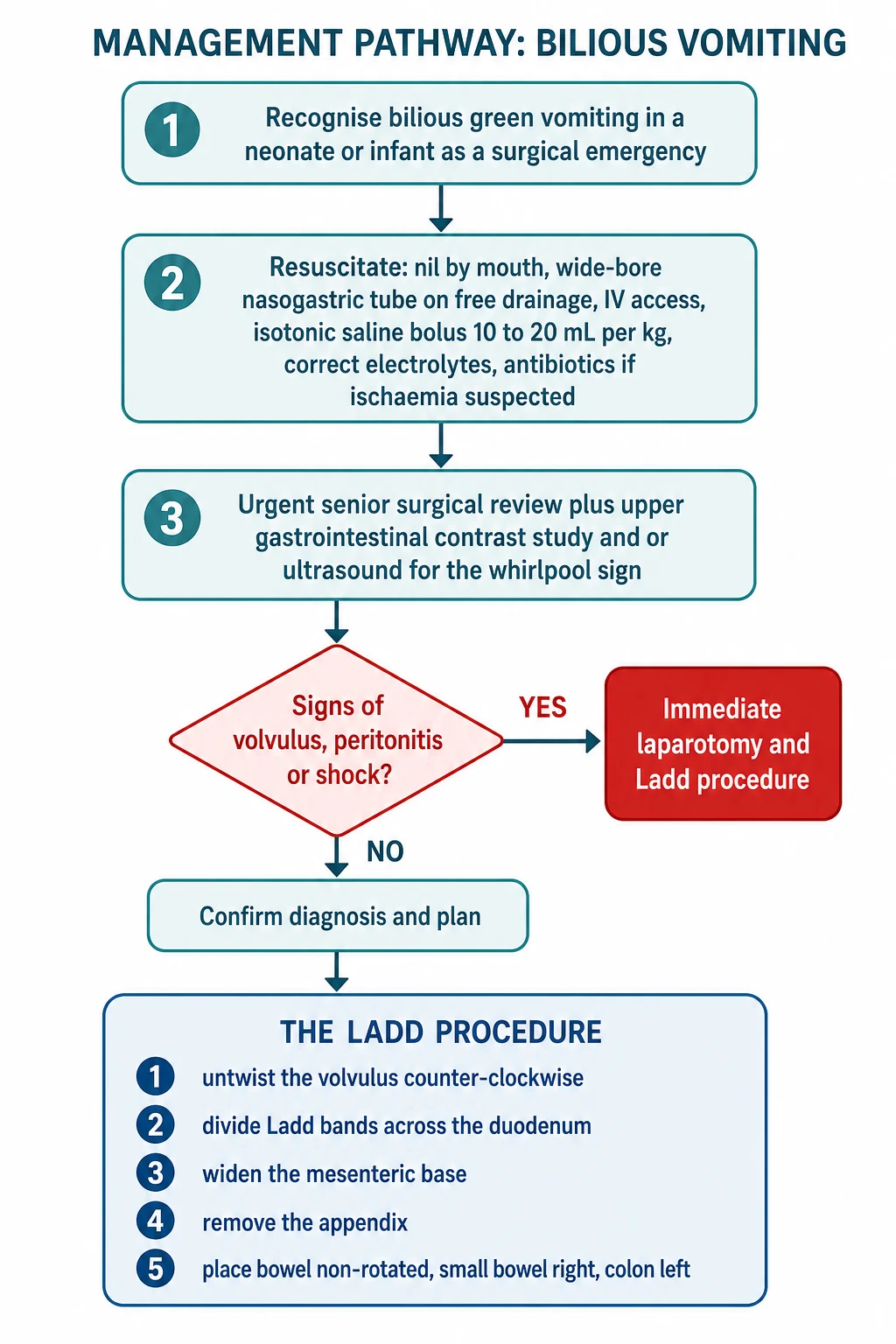 Management pathway flowchart for bilious vomiting and suspected malrotation. Step one recognise bilious green vomiting in a neonate as a surgical emergency. Step two resuscitate with nil by mouth, wide-bore nasogastric tube on free drainage, intravenous access, an isotonic saline bolus, electrolyte correction and antibiotics if ischaemia suspected. Step three urgent senior surgical review plus an upper gastrointestinal contrast study or ultrasound for the whirlpool sign. Step four a decision node on signs of volvulus, peritonitis or shock, with an immediate laparotomy branch if yes and a confirm and plan branch if no. Step five the Ladd procedure with five steps: untwist the volvulus counter-clockwise, divide Ladd bands across the duodenum, widen the mesenteric base, remove the appendix, and place the bowel non-rotated with small bowel on the right and colon on the left.
