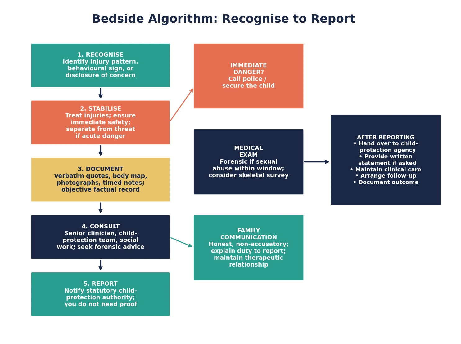 Stepwise bedside algorithm from recognition through stabilisation, documentation, consultation and reporting to the child-protection authority, with parallel medical examination and family communication tracks