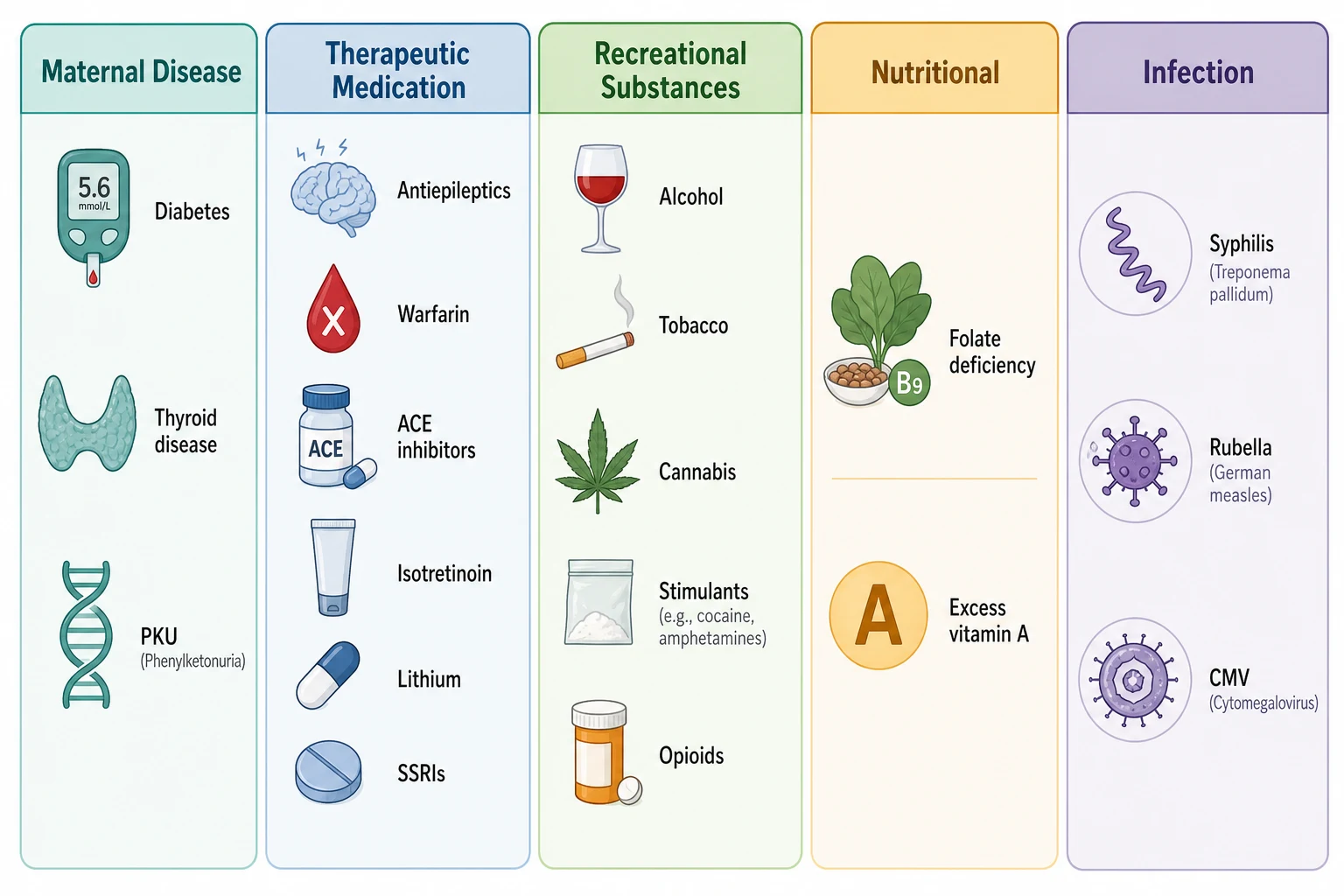 Educational infographic classifying maternal effects on the fetus into five colour-coded columns: maternal disease, therapeutic medication, recreational substances, nutritional, and infection, each with named example agents