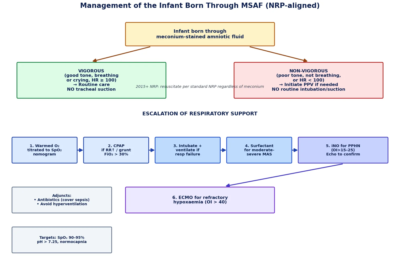 Stepwise management algorithm for an infant born through meconium-stained amniotic fluid aligned with NRP guidance.