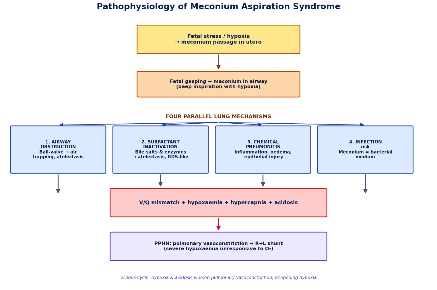 Pathophysiology cascade of meconium aspiration syndrome showing airway obstruction, surfactant inactivation, chemical pneumonitis and progression to PPHN.