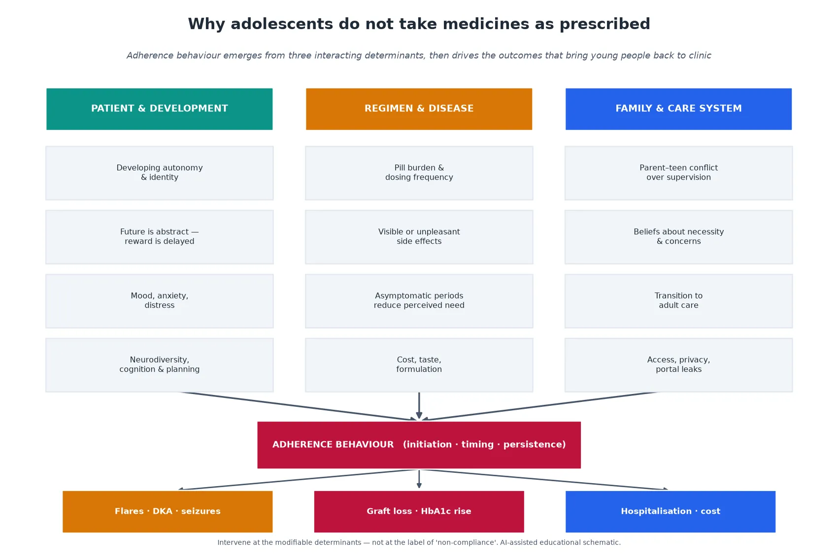 Educational mechanism diagram showing patient, regimen and family-system determinants converging on adherence behaviour, which then drives flares, graft loss, hospitalisation and cost