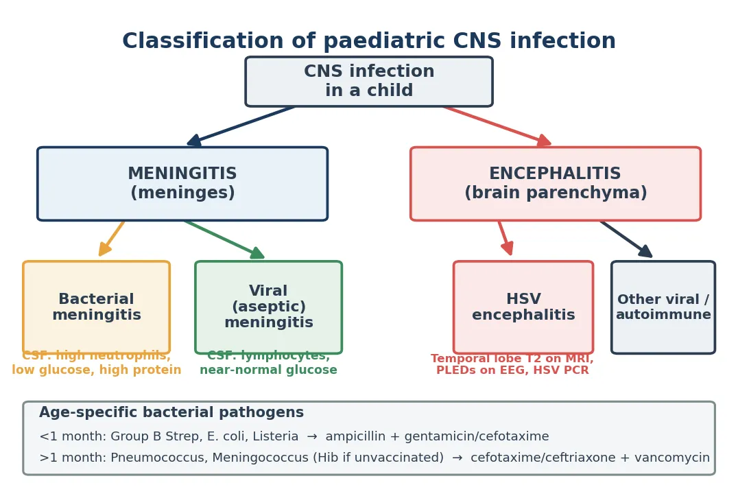 Classification diagram of paediatric central nervous system infections separating bacterial meningitis, viral meningitis, encephalitis, and meningoencephalitis with age-specific pathogens, CSF patterns, and management priorities.