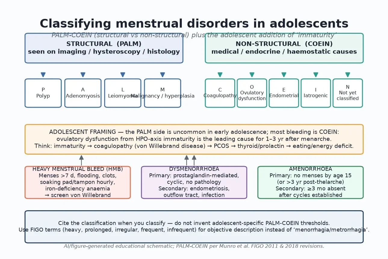 Educational schematic of the PALM-COEIN classification of abnormal uterine bleeding with the adolescent overlay emphasising ovulatory immaturity, and the symptom-based clusters of heavy menstrual bleeding, dysmenorrhoea and amenorrhoea