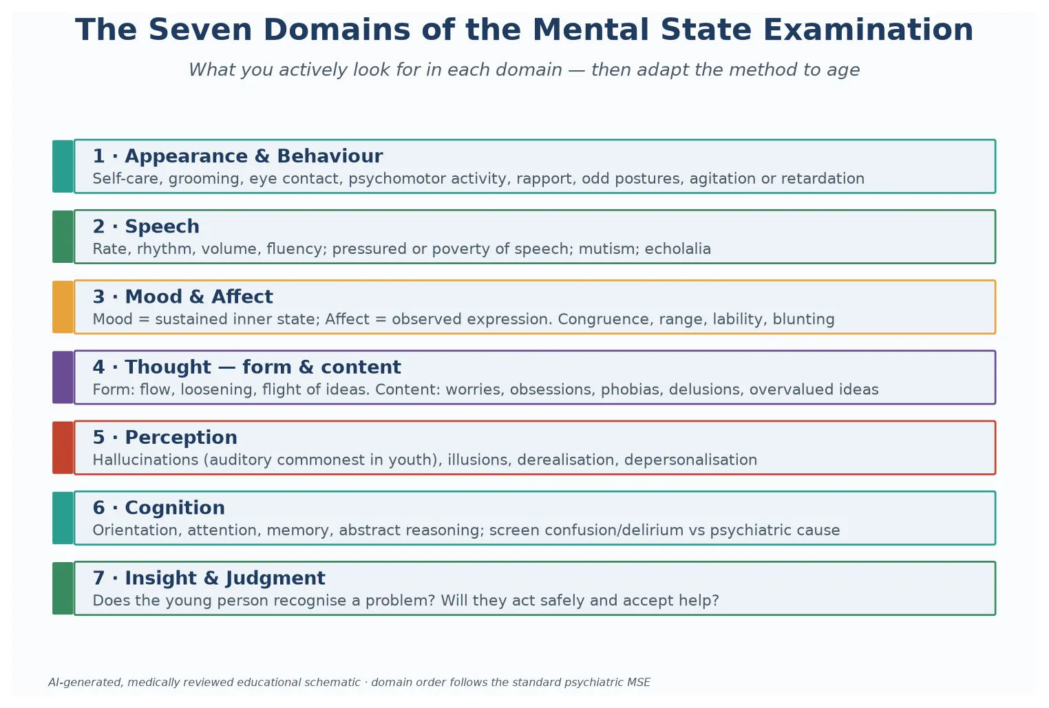 Educational schematic of the seven mental state examination domains in order with the specific observations to make in each