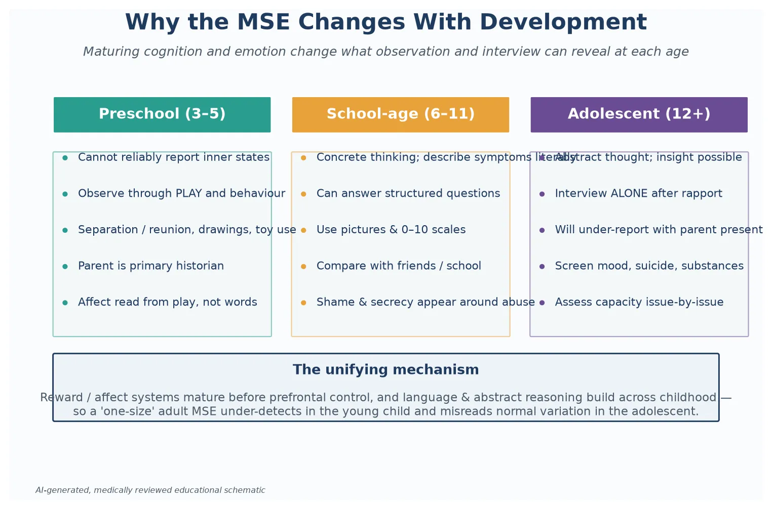 Educational schematic showing how brain and cognitive maturation change what the MSE can reveal at preschool, school-age and adolescent stages