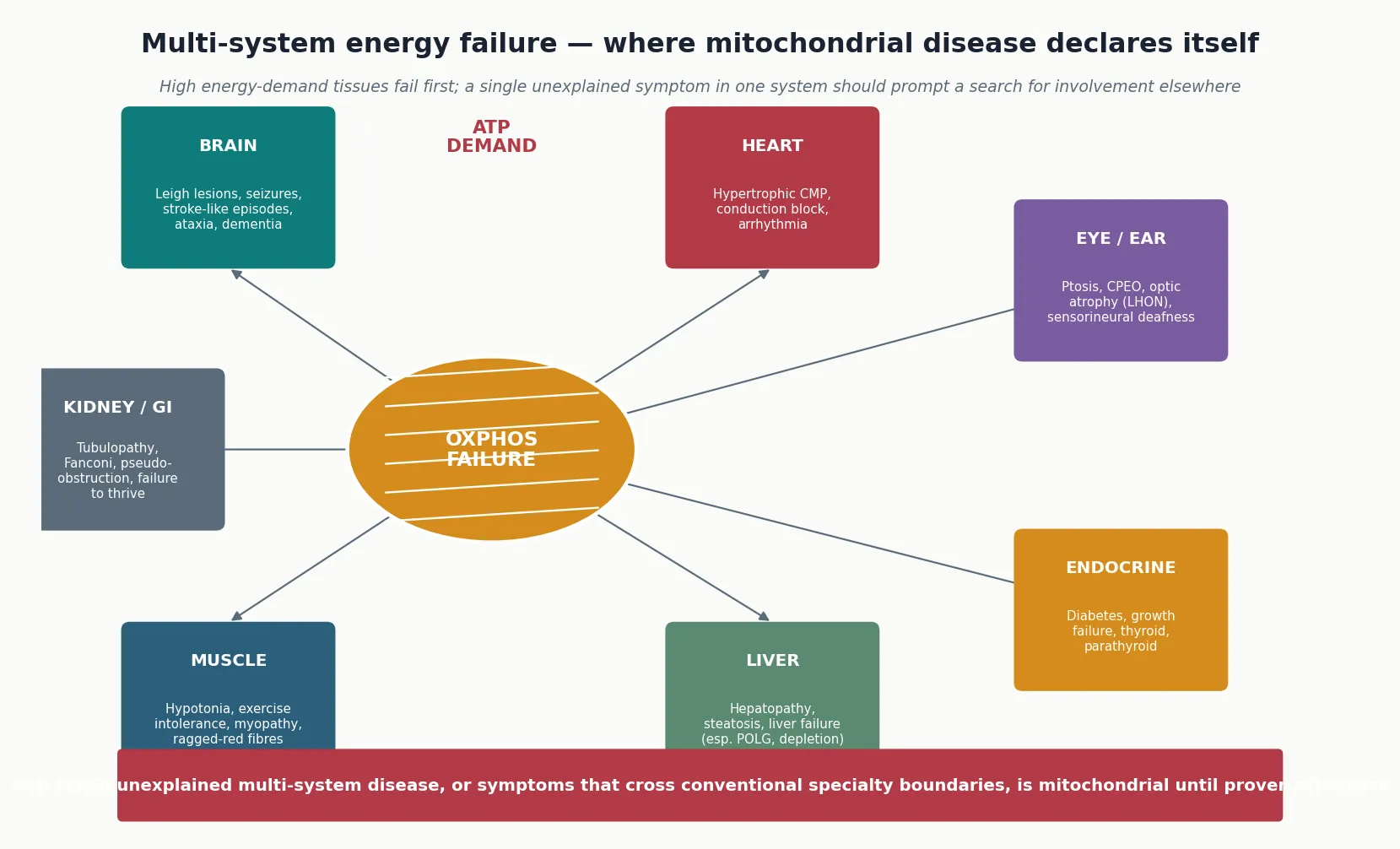 Central OXPHOS-failure node radiating to organ-system panels — brain, muscle, heart, liver, eye and ear, endocrine, and kidney and gut — each annotated with the dominant energy-failure manifestation, with a red-flag footer on multi-system disease