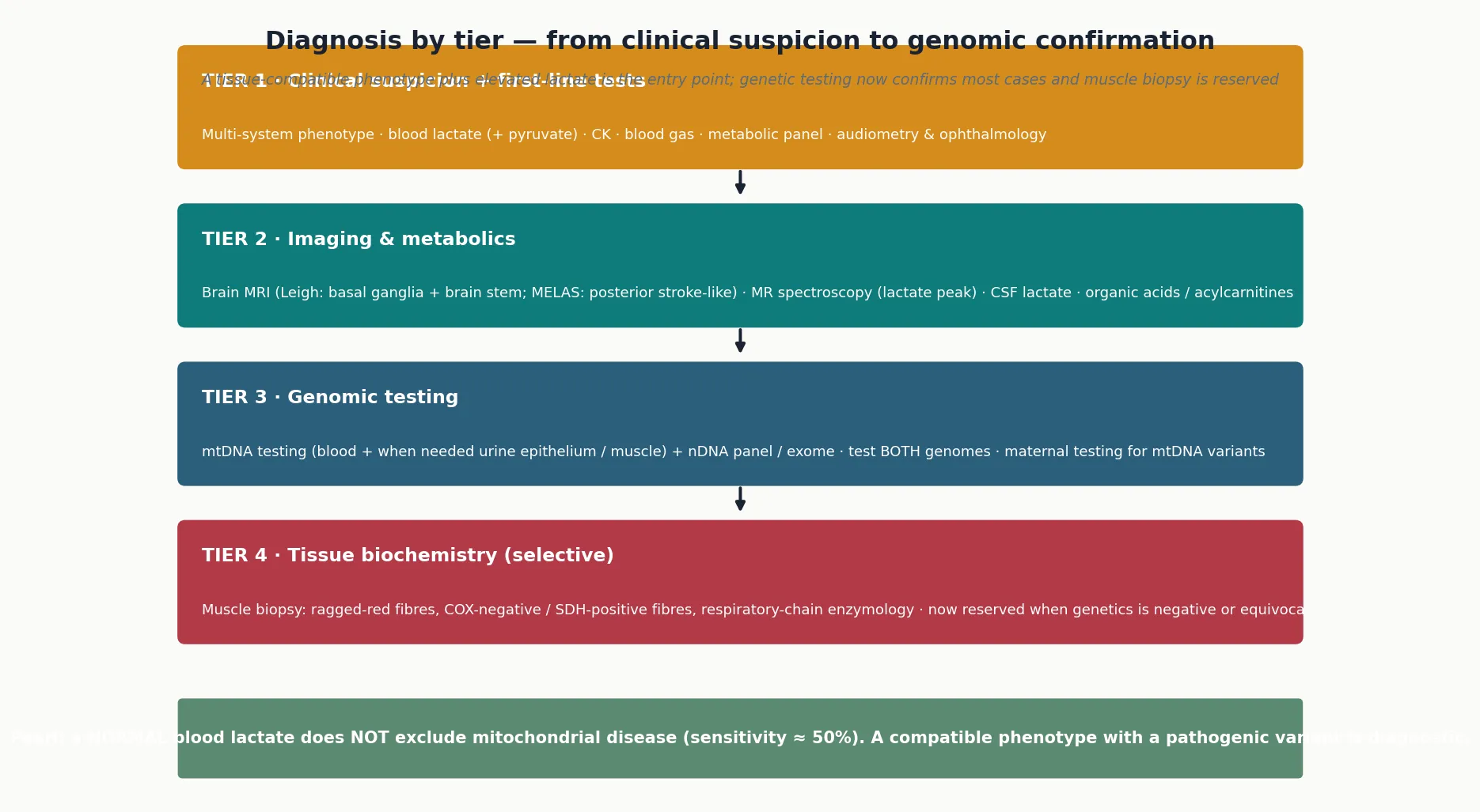 Four-tier diagnostic ladder — tier one clinical suspicion and first-line lactate tests, tier two neuroimaging and CSF lactate, tier three dual-genome genetic testing of mtDNA and nDNA, tier four selective muscle biopsy with respiratory-chain enzymology — with a footer noting a normal lactate does not exclude disease
