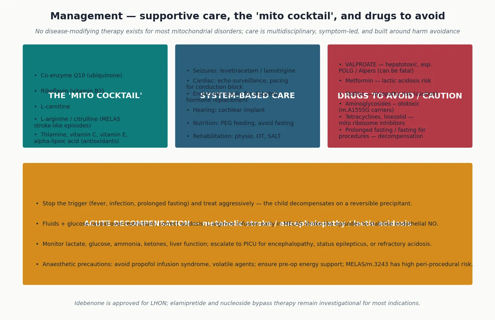 Three-column management schematic showing the mito cocktail, system-based care, and drugs to avoid or use with caution, with a lower band on acute decompensation covering trigger removal, glucose and fluids, L-arginine, and PICU escalation