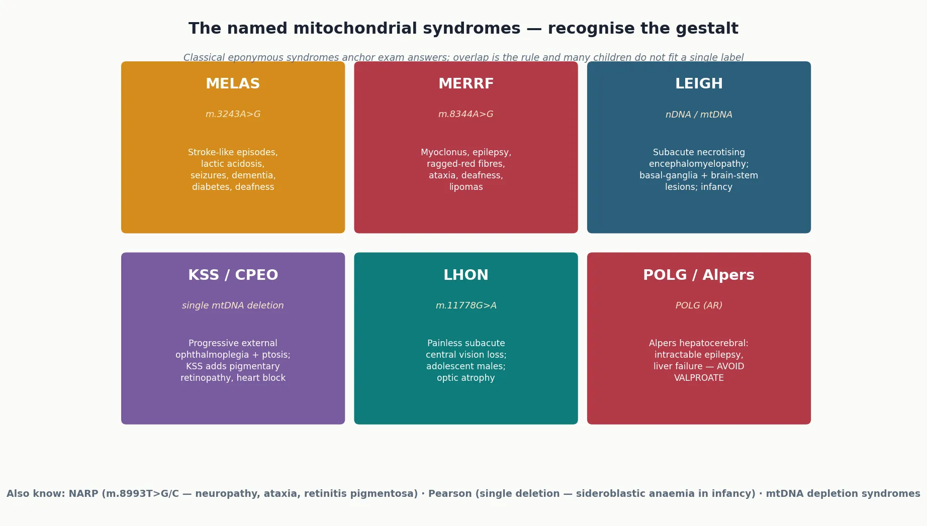 Six named-syndrome panels — MELAS, MERRF, Leigh, Kearns-Sayre or CPEO, Leber hereditary optic neuropathy, and POLG or Alpers — each annotated with the defining genetic lesion and the core clinical features, with a footer noting NARP, Pearson and mtDNA depletion syndromes
