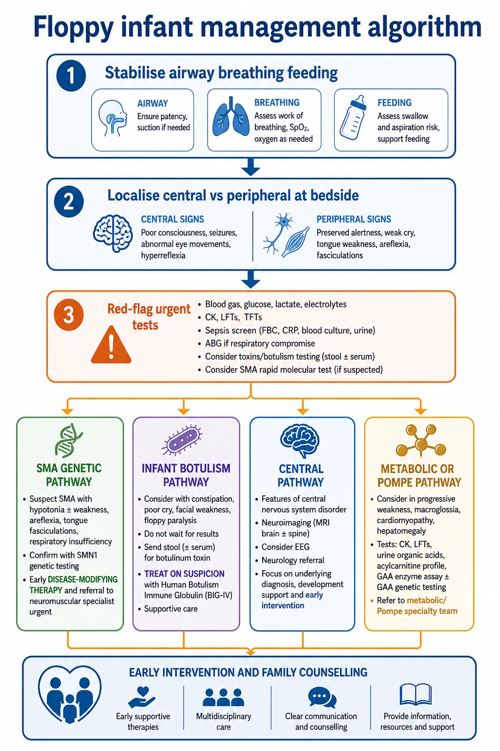 Educational flowchart from airway and feeding stabilisation through localisation and branches for SMA, botulism, central hypotonia and metabolic or Pompe pathways