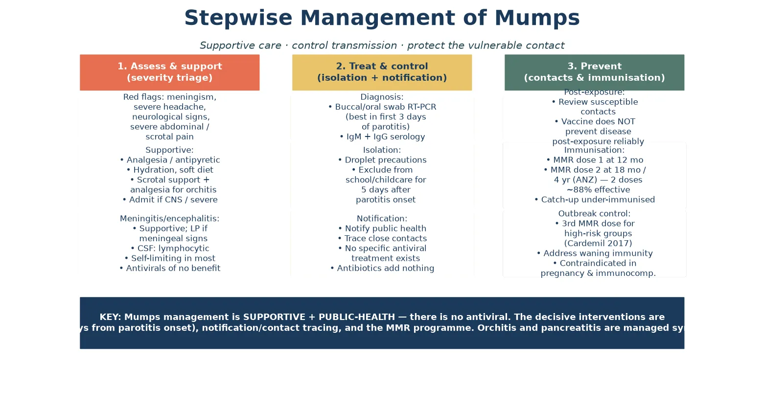 Three-column stepwise management pathway: assess and support (red flags, supportive care, meningitis/orchitis management); treat and control (buccal-swab PCR diagnosis, five-day droplet isolation and exclusion, notification and contact tracing with no antiviral); and prevent (post-exposure review of susceptible contacts, the two-dose MMR schedule with catch-up, and the third-dose outbreak-control strategy)