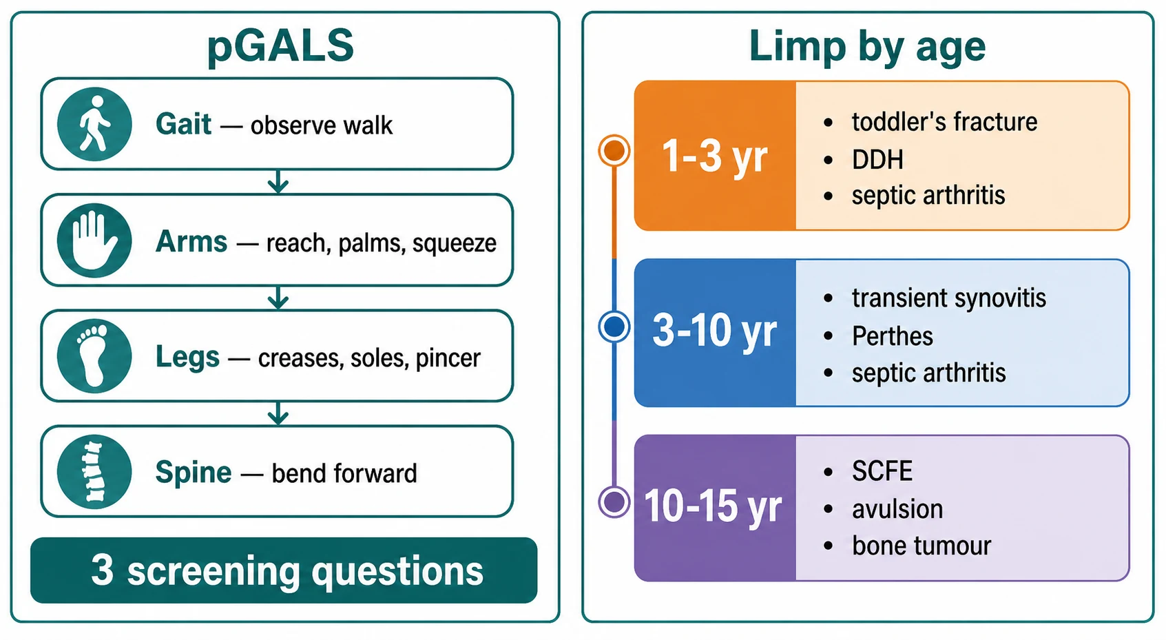 Two-panel schematic. Left panel shows pGALS as four vertical steps: gait observe walk, arms reach palms squeeze, legs creases soles pincer, spine bend forward, with a banner reading three screening questions. Right panel shows limp by age as three stacked bands: orange band one to three years with toddler fracture, DDH, septic arthritis; blue band three to ten years with transient synovitis, Perthes, septic arthritis; purple band ten to fifteen years with SCFE, avulsion, bone tumour.