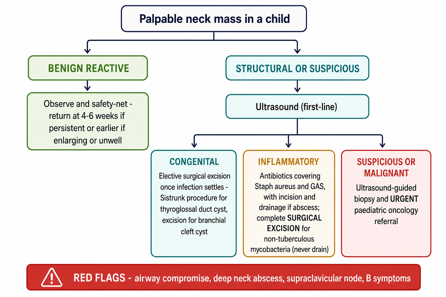 Educational schematic flowchart of management starting from a palpable neck mass, branching into the reactive pathway (observe and safety-net), the congenital pathway (ultrasound then elective surgical excision — Sistrunk for thyroglossal duct cyst, excision for branchial cleft cyst), the inflammatory pathway (antibiotics with or without incision and drainage, surgical excision for non-tuberculous mycobacteria), and the suspicious and malignant pathway (ultrasound-guided biopsy and urgent paediatric oncology referral)