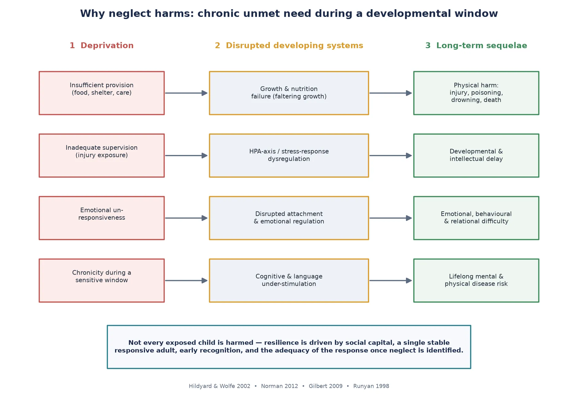 Neurodevelopmental mechanism diagram linking chronic unmet need and inadequate supervision through disrupted developing systems HPA axis dysregulation, disrupted attachment, growth and cognitive under-stimulation to long-term sequelae including developmental delay, emotional and behavioural difficulty, injury and lifelong disease, with social capital and a stable responsive adult as the resilience and recovery pathway