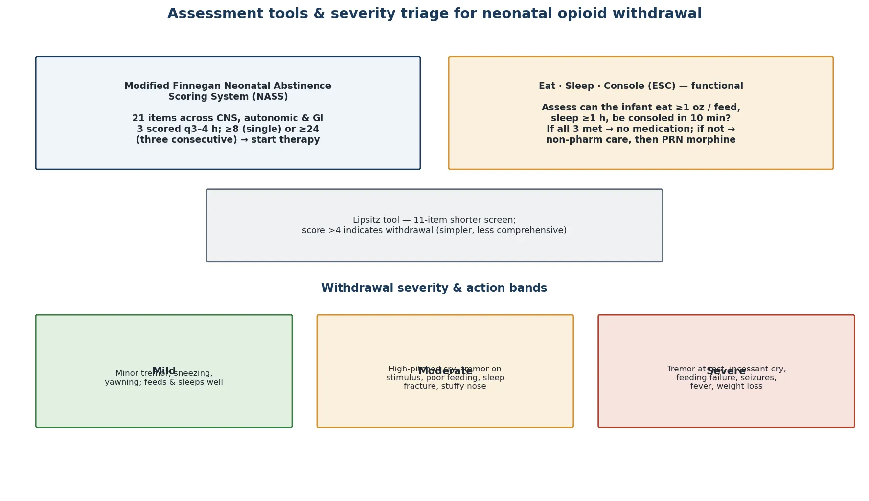 Educational comparison of the Modified Finnegan Neonatal Abstinence Scoring System and the Eat Sleep Console functional approach, alongside the Lipsitz short screen and mild, moderate and severe withdrawal severity bands with their action thresholds