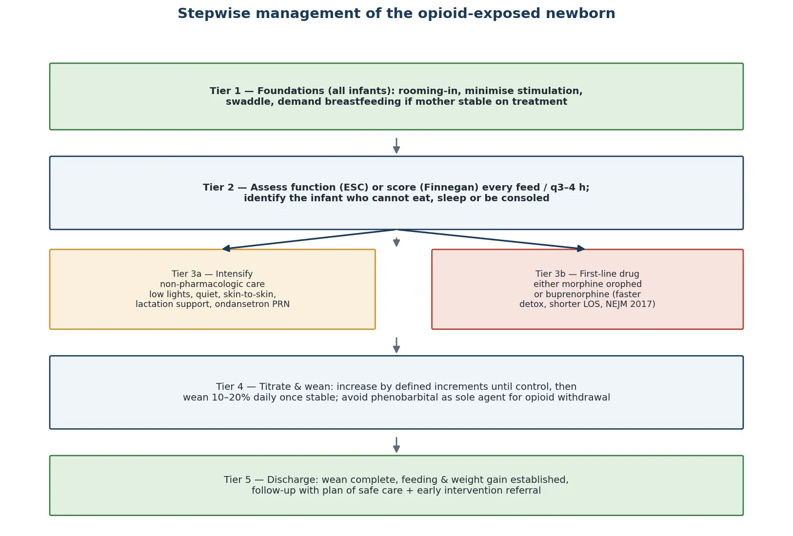 Educational flowchart of the five-tier management ladder for the opioid-exposed newborn: foundations of rooming-in and breastfeeding, structured assessment, intensify non-pharmacologic care, first-line pharmacotherapy with morphine or buprenorphine, titration and weaning, and discharge with a plan of safe care