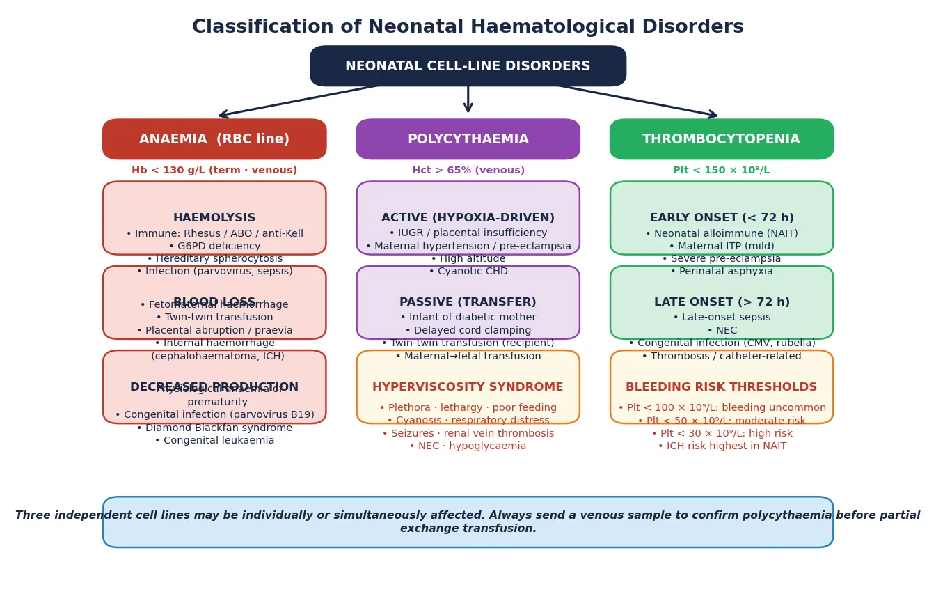 Classification diagram dividing neonatal haematological disorders into anaemia (haemolysis, blood loss, decreased production), polycythaemia (active hypoxia-driven and passive transfer, with hyperviscosity syndrome), and thrombocytopenia (early-onset alloimmune and late-onset sepsis-related), with bleeding risk thresholds.