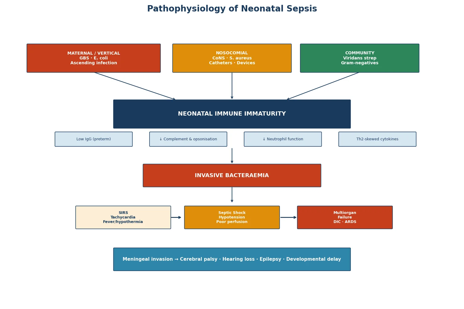 Diagram showing the pathophysiology of neonatal sepsis from pathogen entry through immune immaturity to bacteraemia, SIRS, septic shock, multiorgan failure, and meningeal invasion.