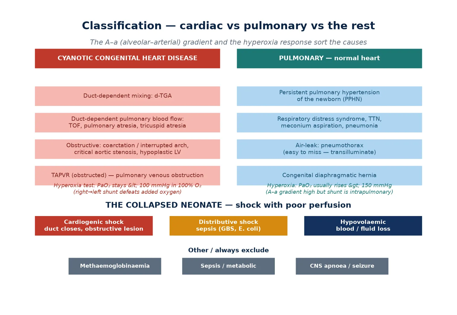 Classification of neonatal cyanosis and collapse into the five causes (cardiac, pulmonary, CNS, sepsis, metabolic/other) with the hyperoxia-test response and the shock axis