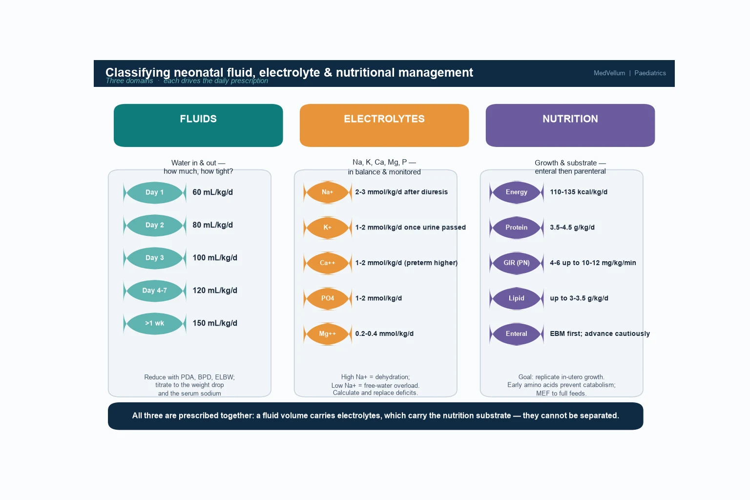 Classification of neonatal fluid, electrolyte and nutritional management into three domains — fluids (daily mL/kg ladder by postnatal age), electrolytes (sodium, potassium, calcium, phosphate, magnesium with daily targets) and nutrition (energy, protein, glucose infusion rate, lipid, enteral) — all prescribed together