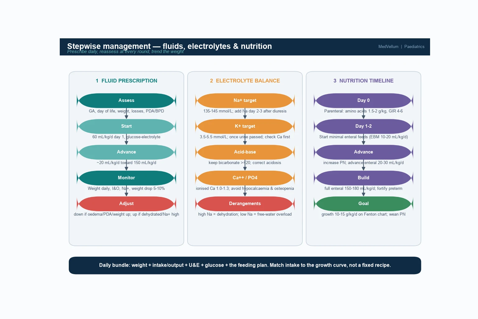 Stepwise management of neonatal fluid, electrolyte and nutritional management in three parallel columns — fluid prescription (assess, start day-one fluids, advance, monitor, adjust), electrolyte balance (sodium, potassium, acid-base, calcium-phosphate targets), and nutrition timeline (parenteral amino acids from birth, minimal enteral feeds, advance, full enteral, growth goal)