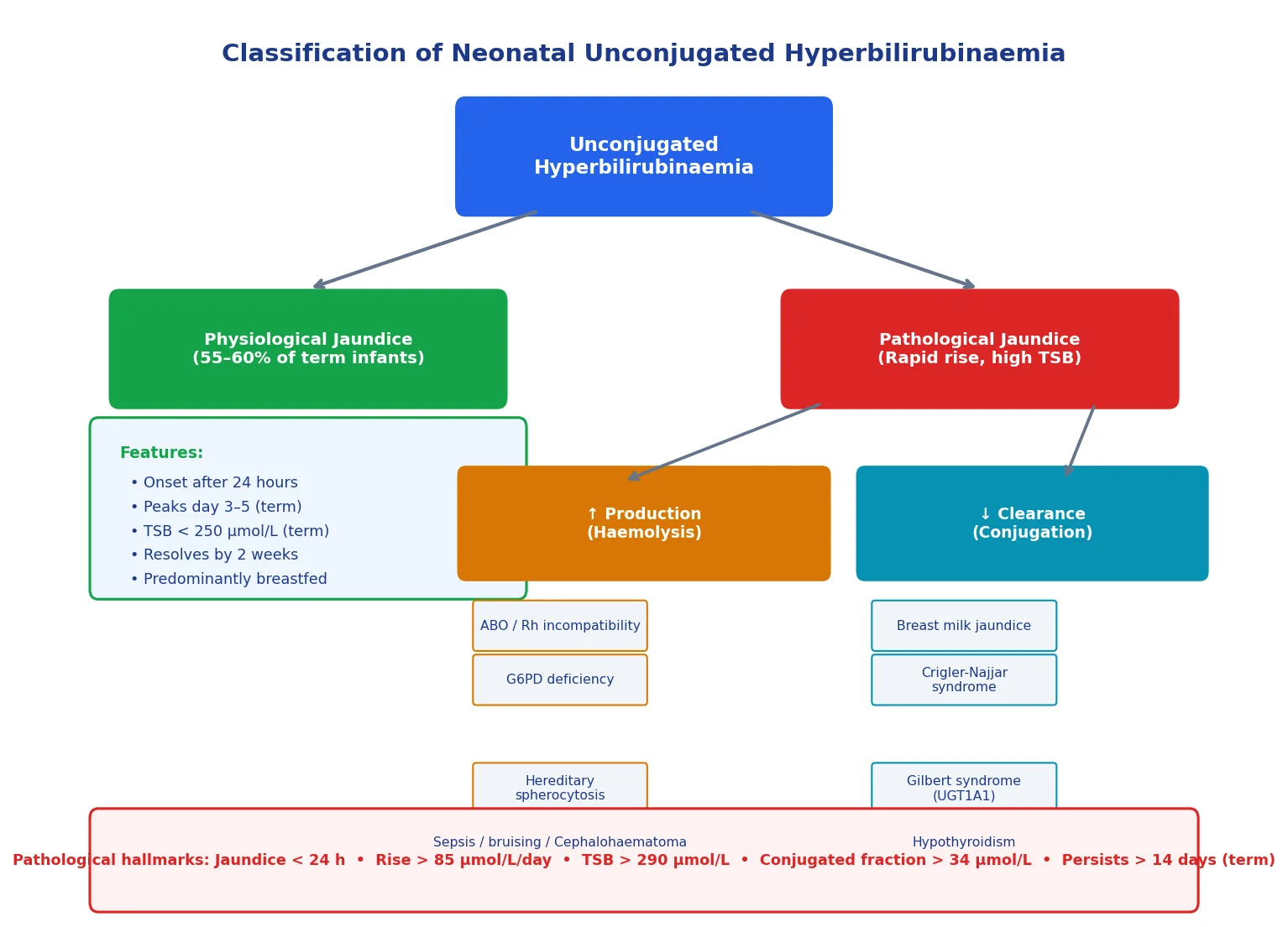 Classification diagram of neonatal unconjugated hyperbilirubinaemia showing the split between physiological and pathological jaundice, with pathological subdivided into increased production causes (haemolysis) and decreased clearance causes, plus the hallmarks of pathological jaundice.