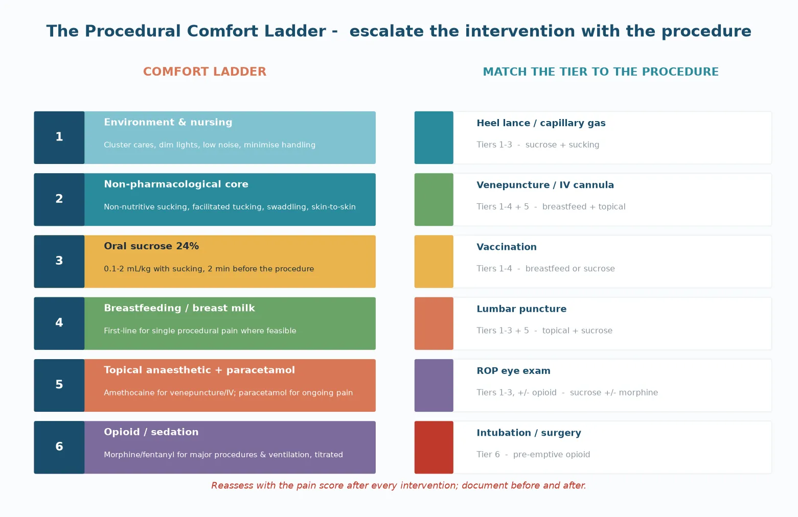 Stepwise procedural comfort ladder from environment and nursing through the non-pharmacological core, oral sucrose, breastfeeding or breast milk, topical anaesthesia and paracetamol, to titrated opioids, with each tier matched to a procedure from heel lance through to intubation and surgery