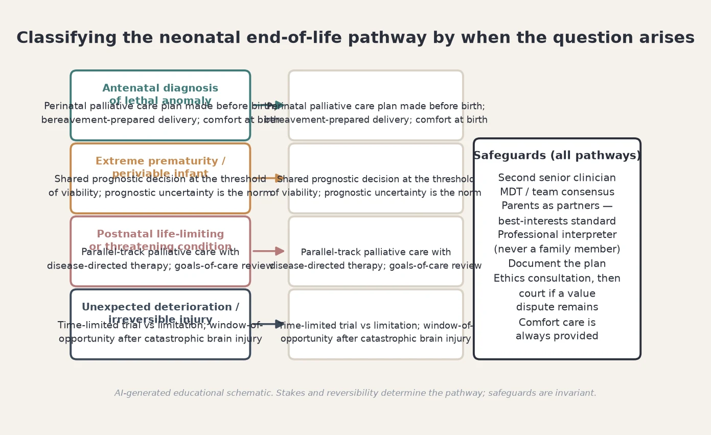 Taxonomy flowchart classifying the neonatal end-of-life pathway by when the question arises — antenatal, periviable, postnatal or unexpected deterioration — with an invariant safeguards column