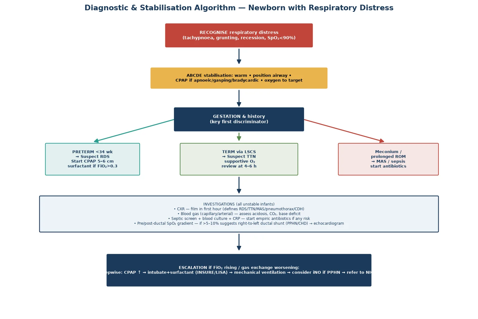 Stepwise diagnostic and stabilisation algorithm for the newborn with respiratory distress