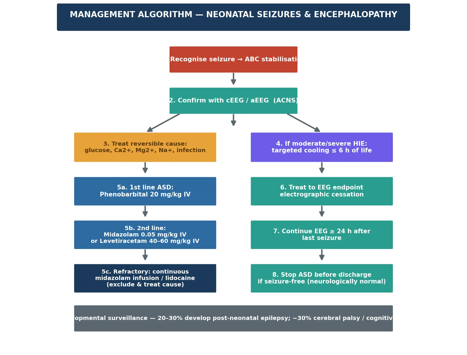 Stepwise management algorithm for neonatal seizures from recognition through EEG-guided antiseizure medication and therapeutic hypothermia to neurodevelopmental follow-up