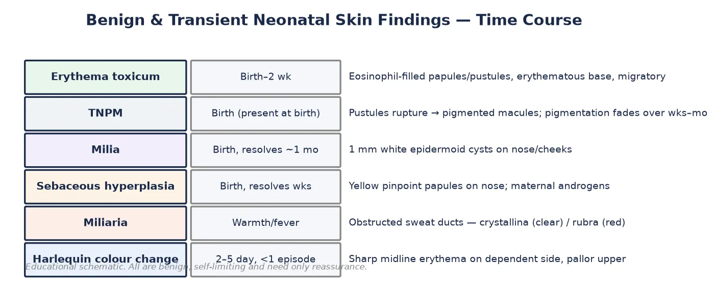 Time course of benign and transient neonatal skin findings including erythema toxicum, transient neonatal pustular melanosis, milia, sebaceous hyperplasia, miliaria and harlequin colour change