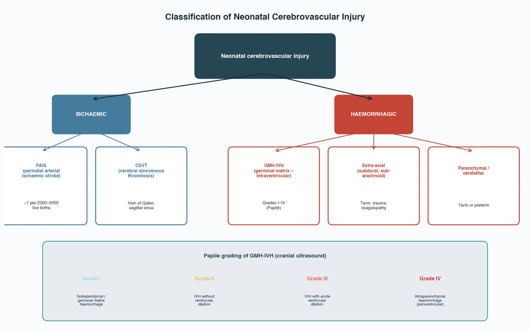 Classification tree of neonatal cerebrovascular injury branching into ischaemic (PAIS, CSVT) and haemorrhagic (GMH-IVH, extra-axial, parenchymal) groups, with the Papile grading system for GMH-IVH below