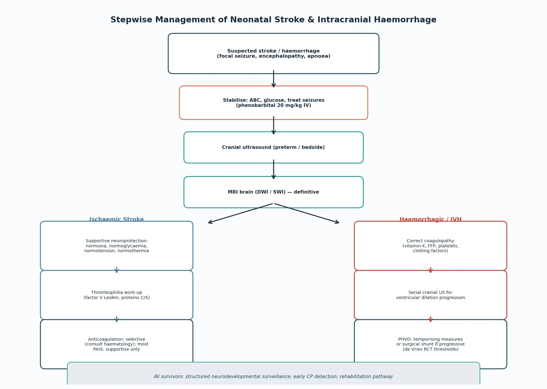 Stepwise management algorithm from suspected stroke through ABC stabilisation, cranial ultrasound or MRI, branching into ischaemic management (supportive neuroprotection, thrombophilia work-up, selective anticoagulation) and haemorrhagic management (coagulopathy correction, serial ultrasound for PHVD, surgical intervention if progressive), with neurodevelopmental follow-up for all survivors