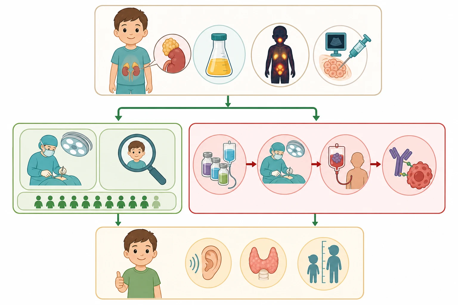 A clean medical flowchart on a white background flowing top to bottom in three tiers connected by green arrows. The top tier shows a child with an adrenal mass at presentation with icons for urine catecholamine flask and MIBG scan and biopsy needle. The middle tier splits into two parallel paths: a left path in green shows low-risk treatment with a surgery icon and an observation magnifying glass and a five-year survival bar above ninety percent; a right path in red shows high-risk treatment with a multi-step pathway showing induction chemotherapy vials, surgical resection, myeloablative transplant, and a GD2 antibody binding to a tumour cell. The bottom tier shows a survivor child figure with surveillance icons.
