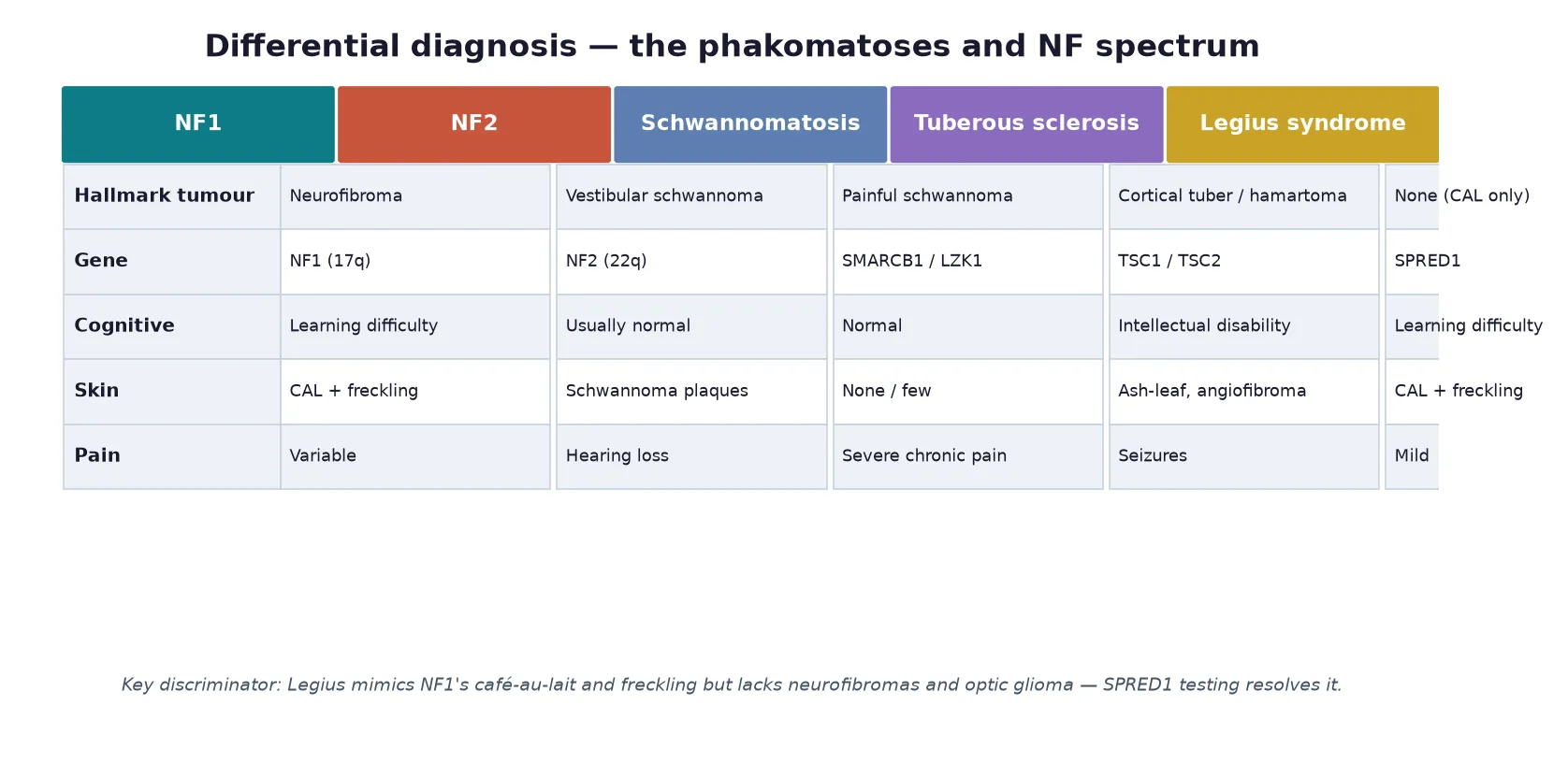 Comparison table across NF1, NF2, schwannomatosis, tuberous sclerosis and Legius syndrome showing hallmark tumour, gene, cognitive effect, skin findings and defining clinical feature for each, with a note that Legius mimics NF1 but lacks neurofibromas