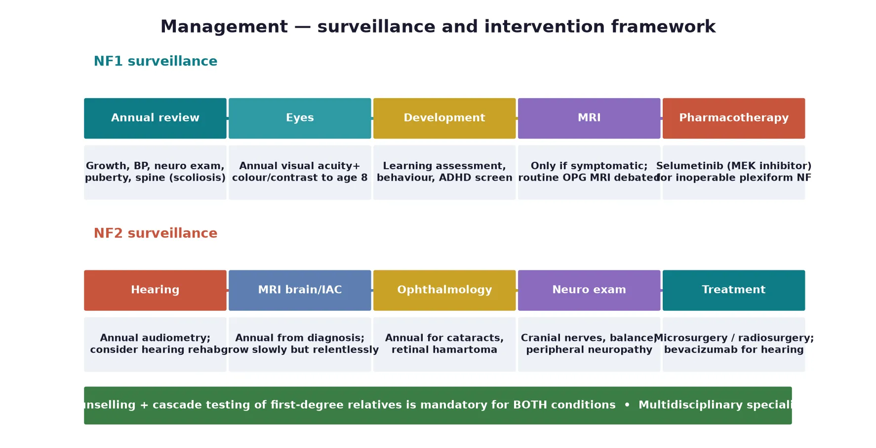 Two parallel surveillance tracks: NF1 (annual review of growth blood pressure neurology puberty and spine, annual vision to age eight, developmental and learning assessment, MRI only if symptomatic, MEK inhibitor selumetinib for inoperable plexiform neurofibroma) and NF2 (annual audiometry, annual MRI brain and internal auditory canals, annual ophthalmology, cranial nerve and peripheral nerve examination, surgery or radiosurgery and bevacizumab), with a footer that genetic counselling and cascade testing are mandatory for both