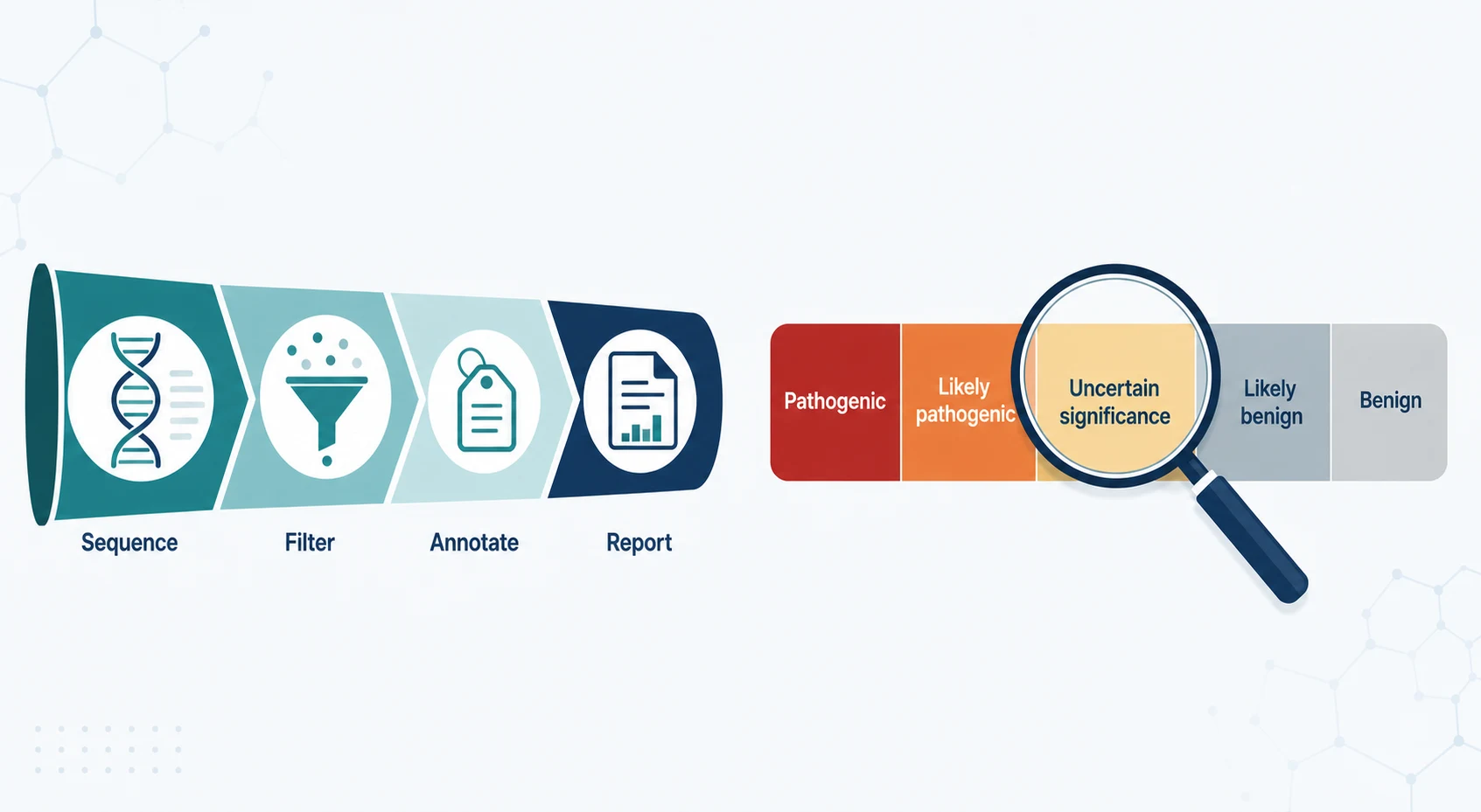 The American College of Medical Genetics five-tier variant classification framework and the variant-curation pipeline from raw sequence to clinical report
