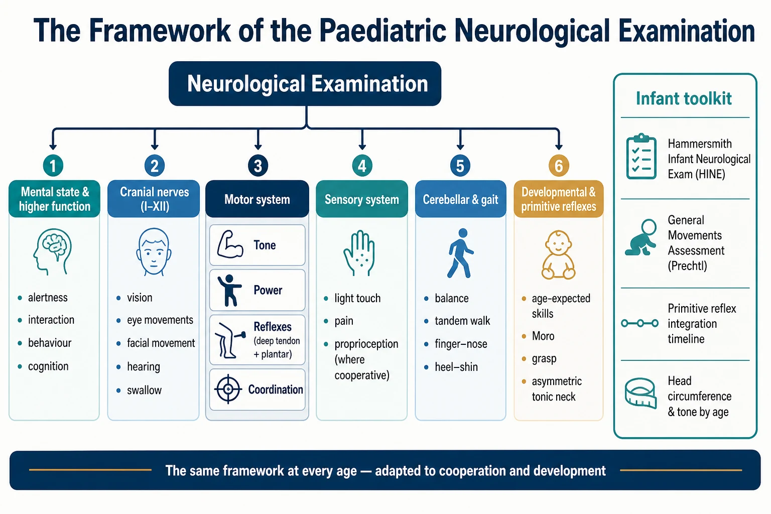 A classification schematic of the paediatric neurological examination. A central panel labelled Neurological Examination branches into six parts: mental state and higher function; cranial nerves I to XII; motor system with sub-boxes for tone, power, reflexes and coordination; sensory system; cerebellar and gait; and developmental and primitive reflexes. A right-hand teal-bordered infant-toolkit panel lists the Hammersmith Infant Neurological Examination, the General Movements Assessment, primitive reflex integration, and head circumference and tone by age. A footer reads the same framework at every age.