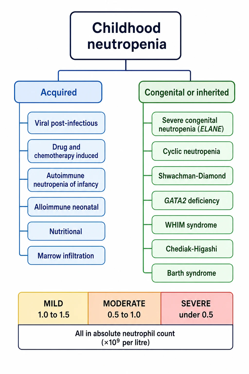 A clean medical-education classification diagram on a white background. A central rounded box labelled Childhood neutropenia splits into two colour-coded main branches. The left blue branch reads Acquired and lists viral post-infectious, drug and chemotherapy induced, autoimmune neutropenia of infancy, alloimmune neonatal, nutritional, and marrow infiltration. The right green branch reads Congenital or inherited and lists severe congenital neutropenia ELANE, cyclic neutropenia, Shwachman-Diamond, GATA2 deficiency, WHIM syndrome, Chediak-Higashi, and Barth syndrome. Beneath the tree a horizontal severity band with four coloured segments labelled mild 1.0 to 1.5, moderate 0.5 to 1.0, and severe under 0.5 in absolute neutrophil count times ten to the ninth per litre.