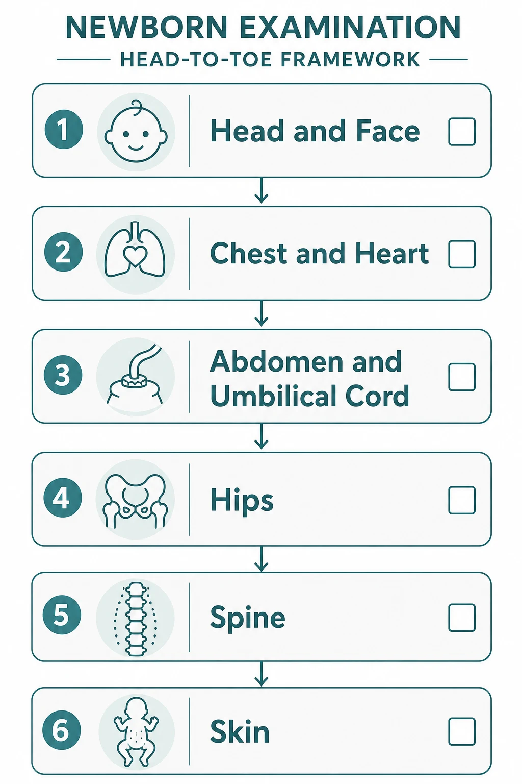 Head-to-toe newborn examination framework organised as a labelled checklist by body region: head and face, chest and heart, abdomen and umbilical cord, hips, spine, and skin
