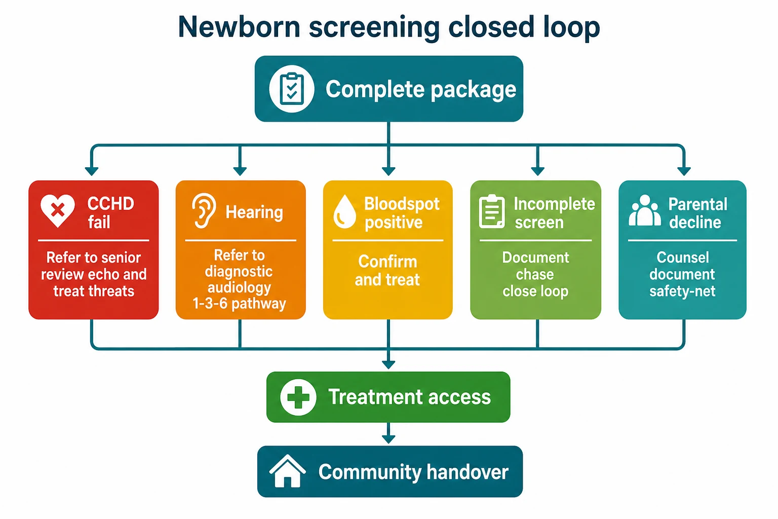 Educational flowchart of newborn screening closed loop from complete package through CCHD fail, hearing refer, bloodspot positive, incomplete screen and parental decline branches to treatment access and community handover