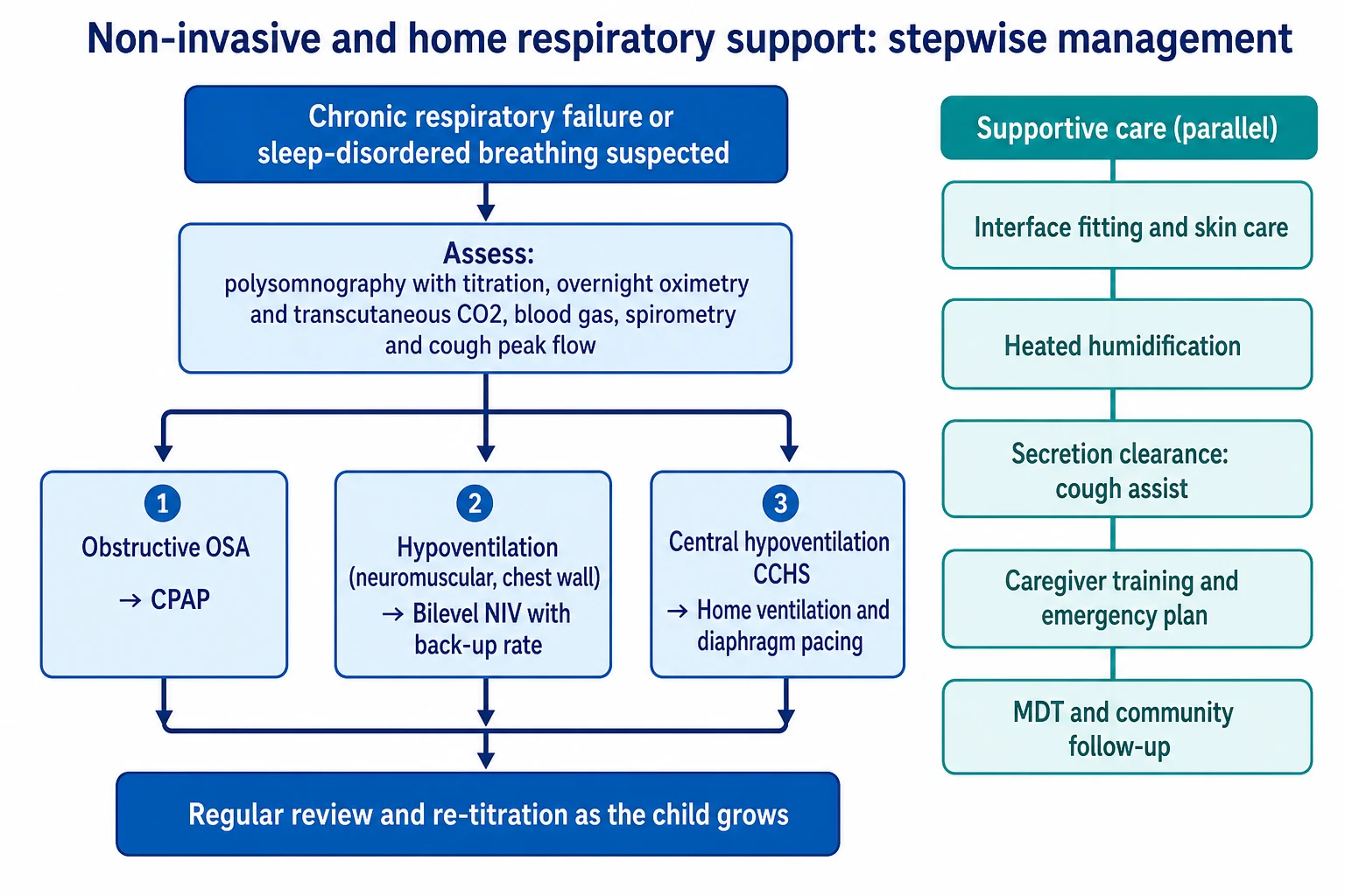Management algorithm for non-invasive and home respiratory support. It starts with suspected chronic respiratory failure or sleep-disordered breathing, moves to assessment with polysomnography and titration, overnight oximetry and transcutaneous carbon dioxide, blood gas and spirometry with cough peak flow, then branches into three pathways: obstructive OSA managed with CPAP, hypoventilation from neuromuscular or chest-wall disease managed with bilevel NIV with a back-up rate, and central hypoventilation CCHS managed with home ventilation and diaphragm pacing. A parallel supportive-care column lists interface fitting and skin care, heated humidification, secretion clearance with cough assist, caregiver training and an emergency plan, and multidisciplinary community follow-up. The endpoint is regular review and re-titration as the child grows.