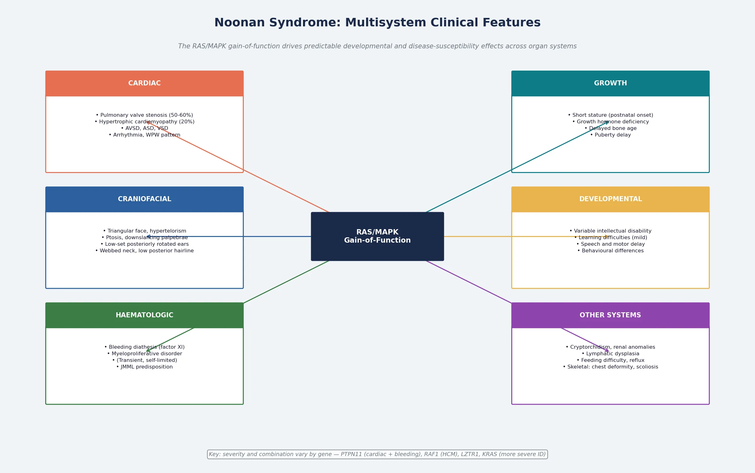 Central RAS/MAPK gain-of-function box branching to six organ-system panels — cardiac, growth, craniofacial, developmental, haematologic, and other systems — each annotated with the dominant pathway-driven effect, with a footer noting genotype-phenotype correlations